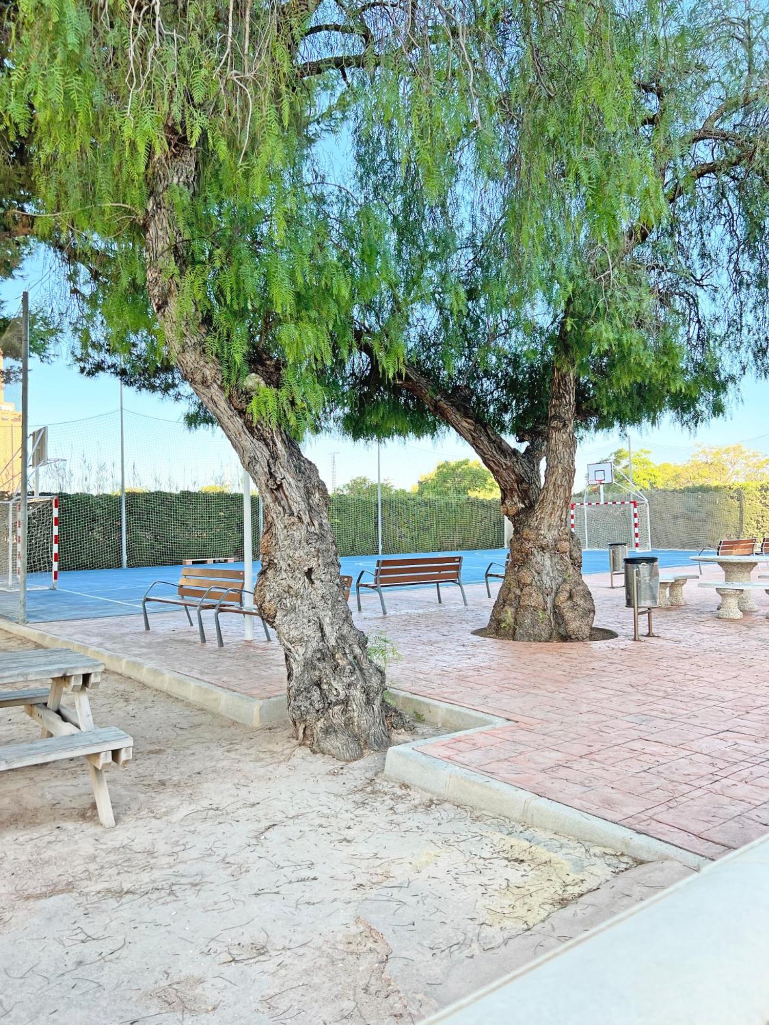Coqueto Con Piscina, Nuevo A 50M Del Mar, Parking Gratis Lejlighed El Campello Eksteriør billede