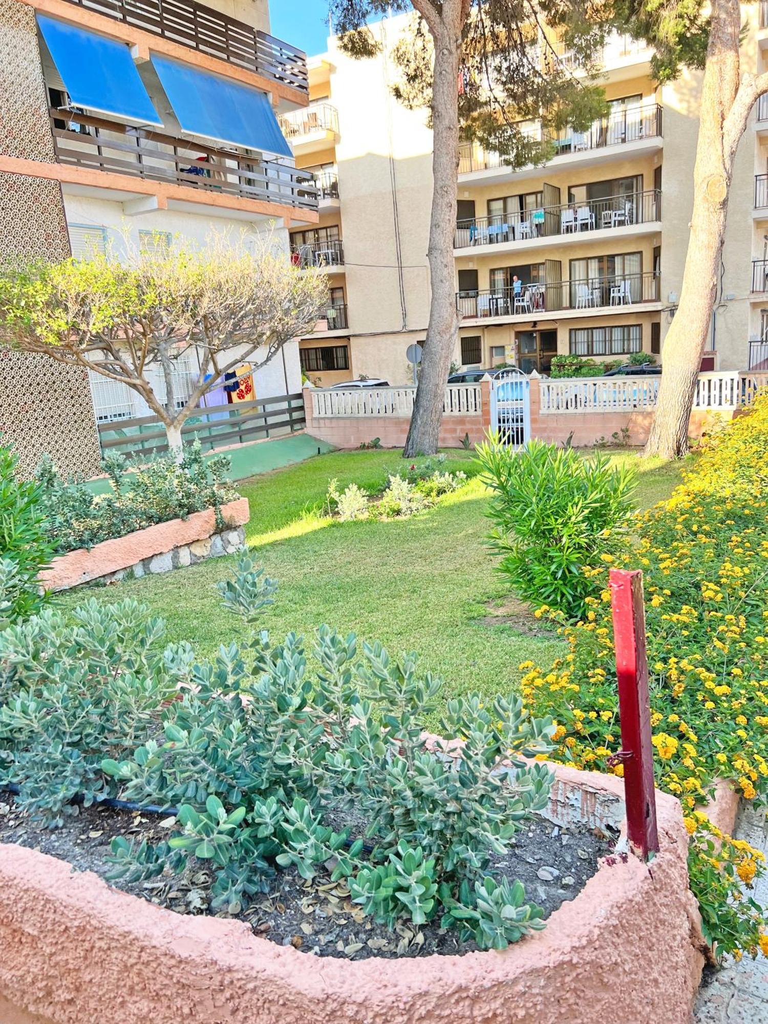 Coqueto Con Piscina, Nuevo A 50M Del Mar, Parking Gratis Lejlighed El Campello Eksteriør billede