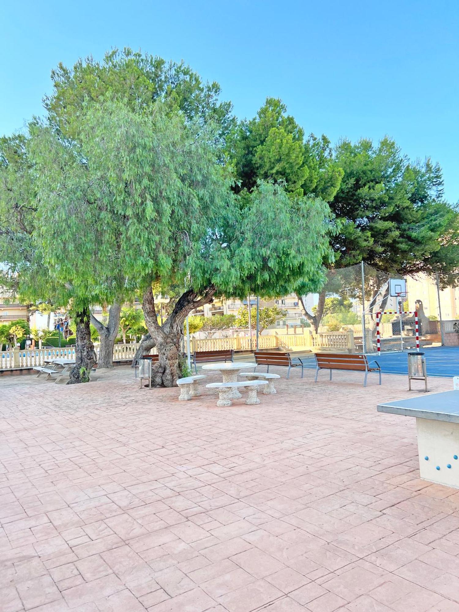 Coqueto Con Piscina, Nuevo A 50M Del Mar, Parking Gratis Lejlighed El Campello Eksteriør billede
